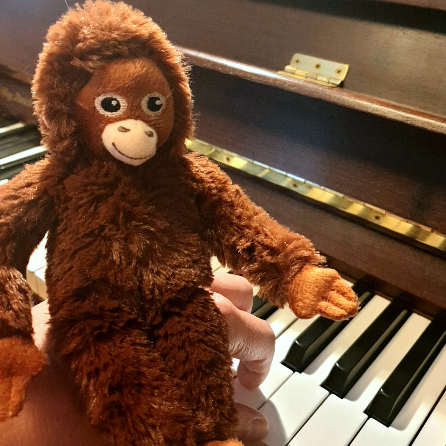 Affe auf dem Klavier