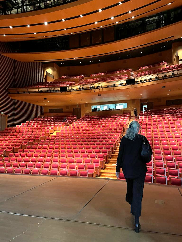 Ein Theatersaal mit einer Frau auf der Bühne